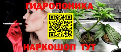 стаф Туймазы