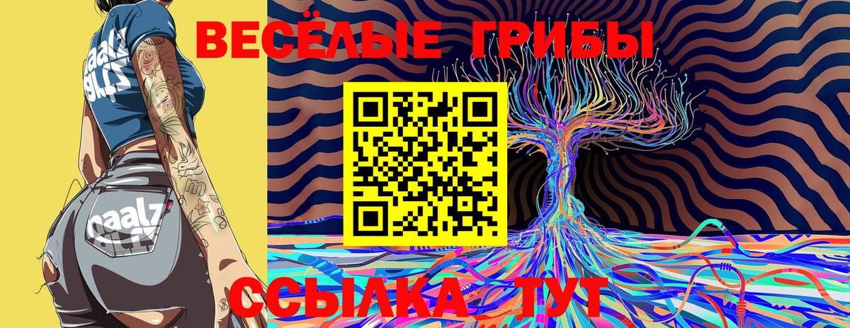 Галлюциногенные грибы Psilocybine cubensis Муравленко