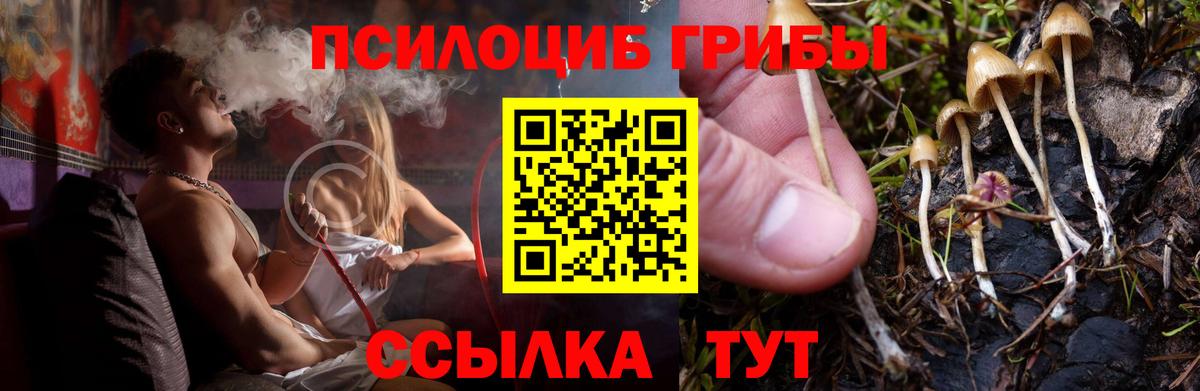 где купить наркоту  Галлюциногенные грибы Cubensis  Муравленко  Вход с VPN  Псилоцибиновые грибы Magic Shrooms 