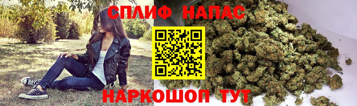 Канабис тримм  Канабис семена  Вход с VPN  Канабис сатива  Муравленко  Марихуана гибрид 